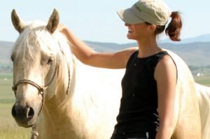 Équitation éthologique à Tournai en Belgique